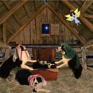 Meet your Posher, Philip